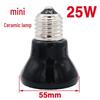 Parrot & Turtle Ceramic Heater Lamp with Insulated Box and Anti-Scald Lampshade for Warming Birds and Sugar Gliders