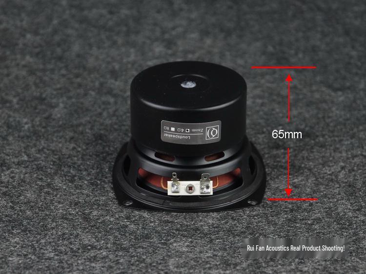 4-Inch Full-Range Speaker - Audiophile Quality for Vocals & Instruments - Excellent High, Mid, Low Frequencies | Ruifan Acoustics