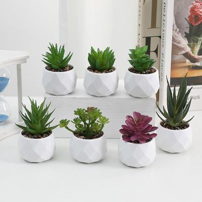 Sahte Bitkiler Yapay Sukulent Her Zaman Yeşil Küçük Saksı Bitkileri Mini Sukulentler Bonsai Ev