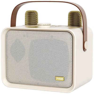 iKF Portable Bluetooth Karaoke Speaker with Microphone CN Plug (adapter Included)