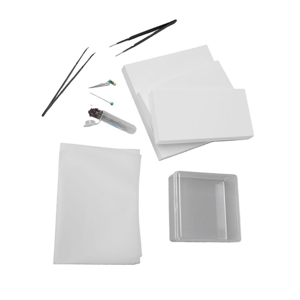 Kit de Herramientas para Espécimen Kit Completo de Herramientas para Hacer Espécimen Suministros para Colección de Entomología con Tablero de Alfileres de Espuma Transparente