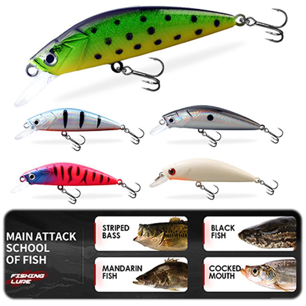 5Pcs Fishing Lure Realistic Minnow Bait 5cm Slow Sinking Lure 3D Eyes Wobblers Fishing Lure for Freshwater Saltwater China Mainland