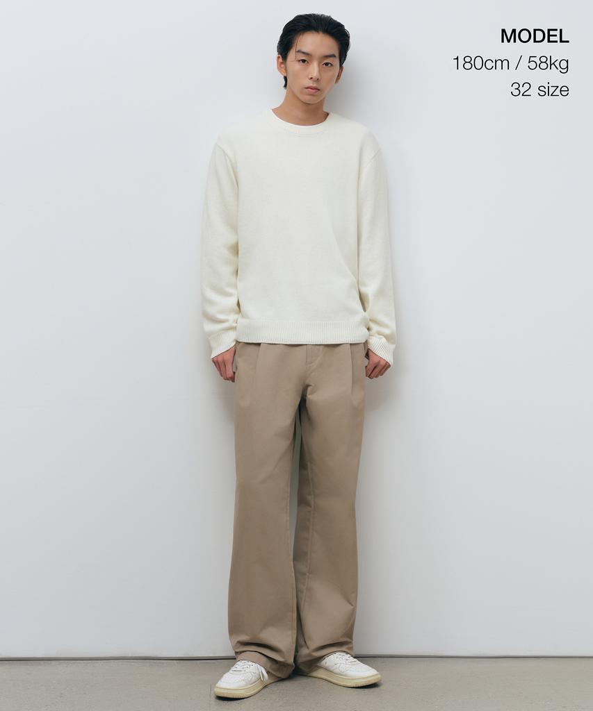 Musinsa Standard Brushed One-Pleat Wide Chino Pants [Beige]