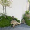Artificial Moss Decorative Moss Fake Moss Indoor Decor
