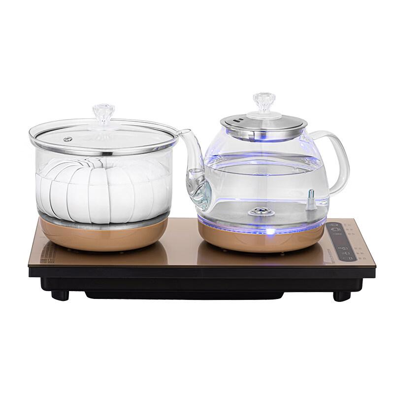 ZISIZ Automatic Electric Tea Maker with Water Pump