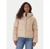 Winter Jacket DW0DW21625