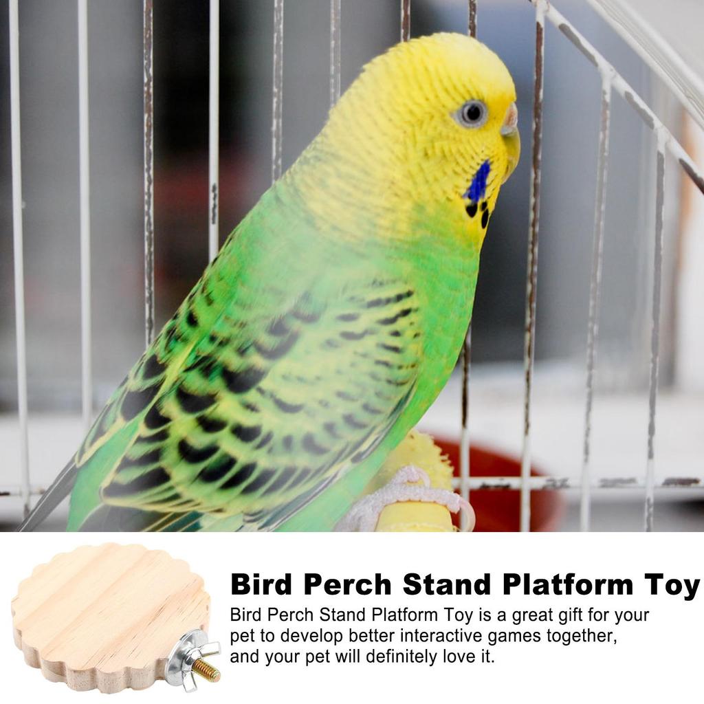 Bird Perch Stable Chewing Playing Toy Parakeet Cage Perch For Standing For Parakeet Conure Lovebird Canary Cockatoo Finch Living