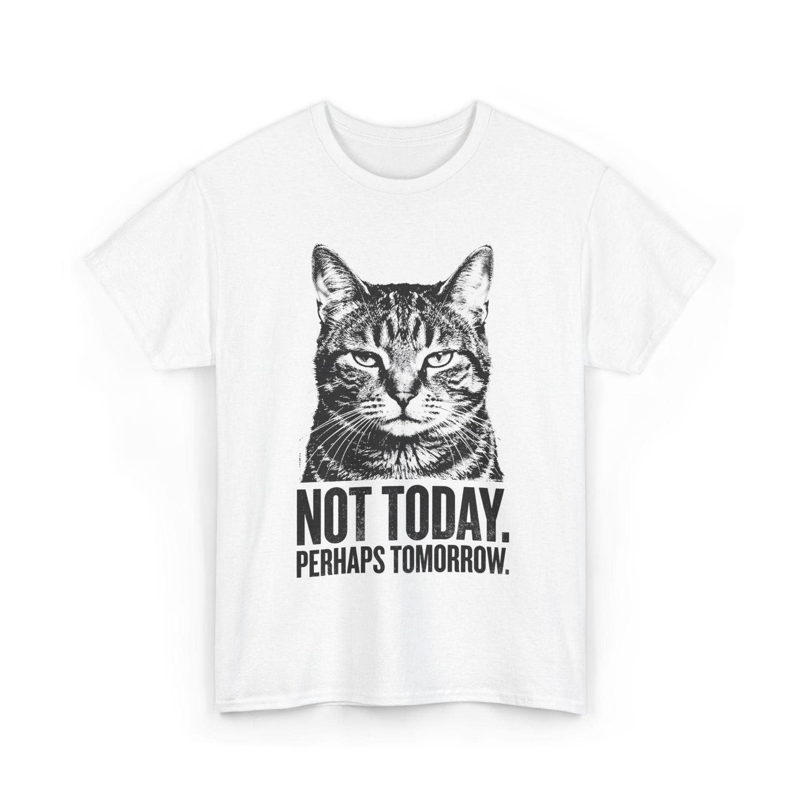 Sassy Cat T-Shirt, Not Today Perhaps Tomorrow, Funny Tabby Graphic, Monochrome Retro Print, Sarcastic Quote Apparel, Cotton Top 2XL