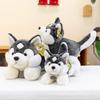 Simulated Party Style Maojian Husky Plush Toy Cute Pet Children's Room Ornaments Dog Doll Birthday Gift