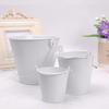 Mini Metal Flowerpots Bucket Tin Candy Gift Box Garden Pots Planters Succulent Pot Balcony Planters Hook Flower Pot Garden Tubs