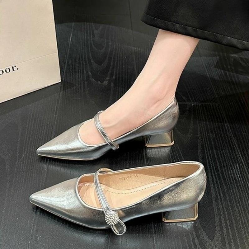 Gothic Block Heel Chunky Heels Mary Jane Shoes for Women Pointed Toe Woman Pumps Japanese Style Lolita with Medium Summer 2025