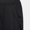 Adidas Kids Shorts Moderate HE2546