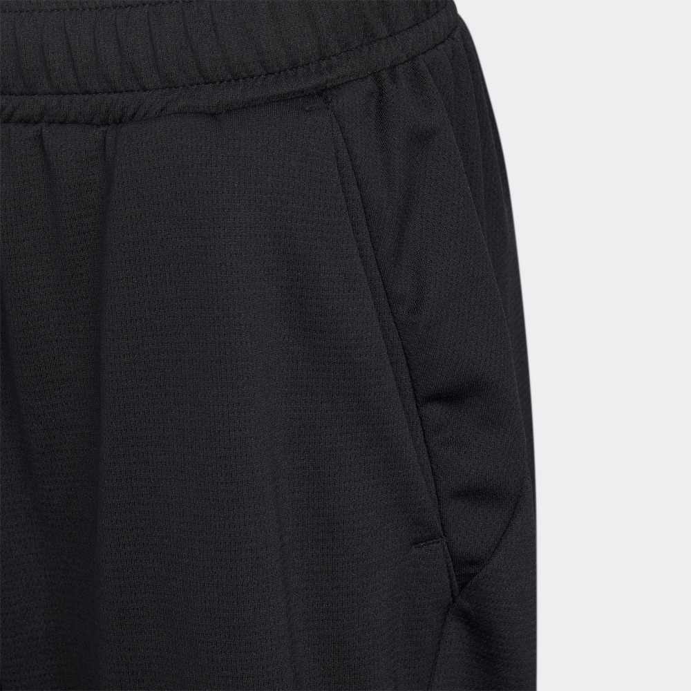Adidas Kids Shorts Moderate HE2546