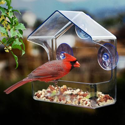 Clear Acrylic Bird Feeder with Strong Suction Cups. Durable, Easy-Clean, Perfect for Garden & Yard. Watch Birds from Window!