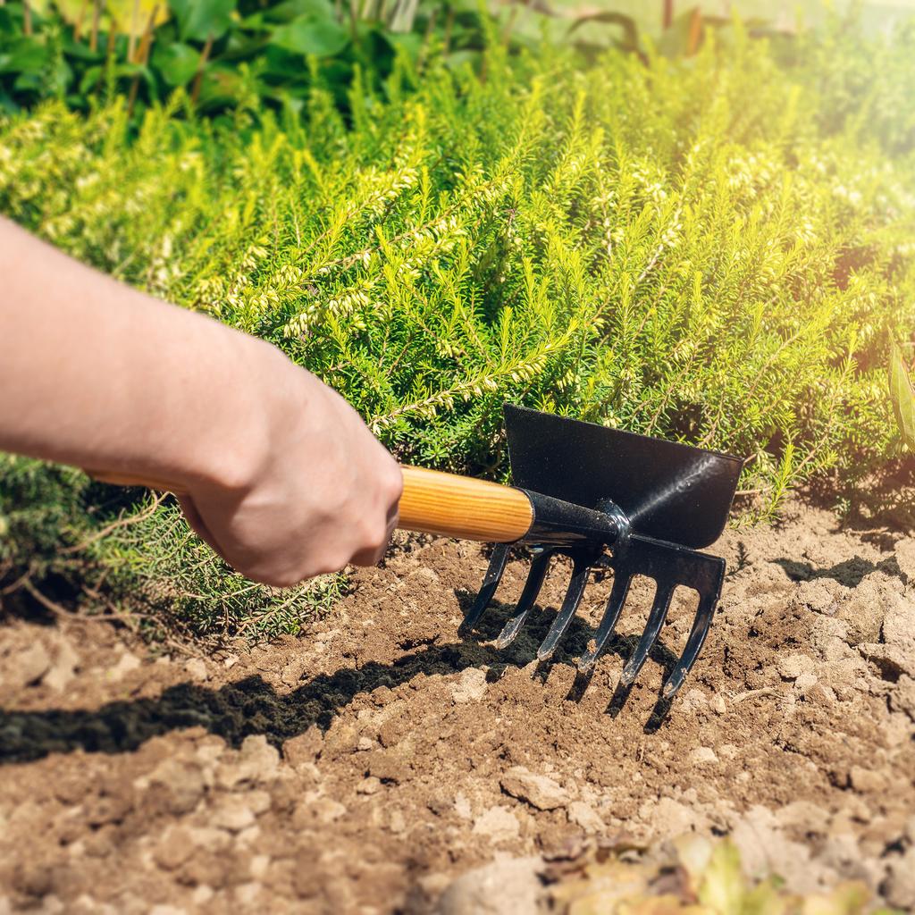 KADAX Zestaw Narzędzi Ogrodowych Motyczka Ogrodowa Grabki Pazurki Do Ogrodu 