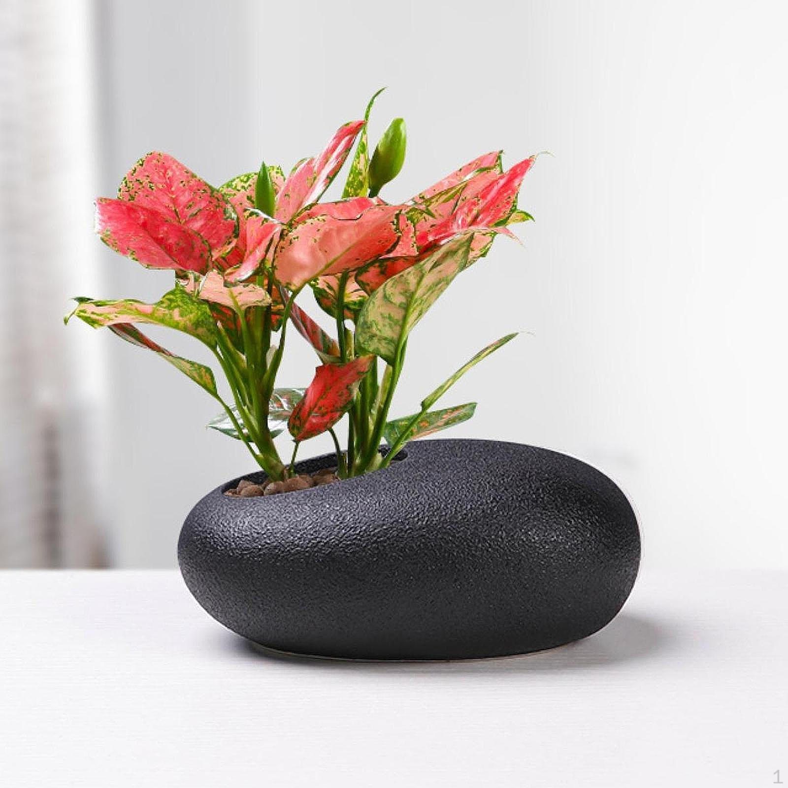 

Ceramic Vase Desktop Ornament Decorative Japanese Gift Modern Flower Flowerpot for Bedroom чёрный