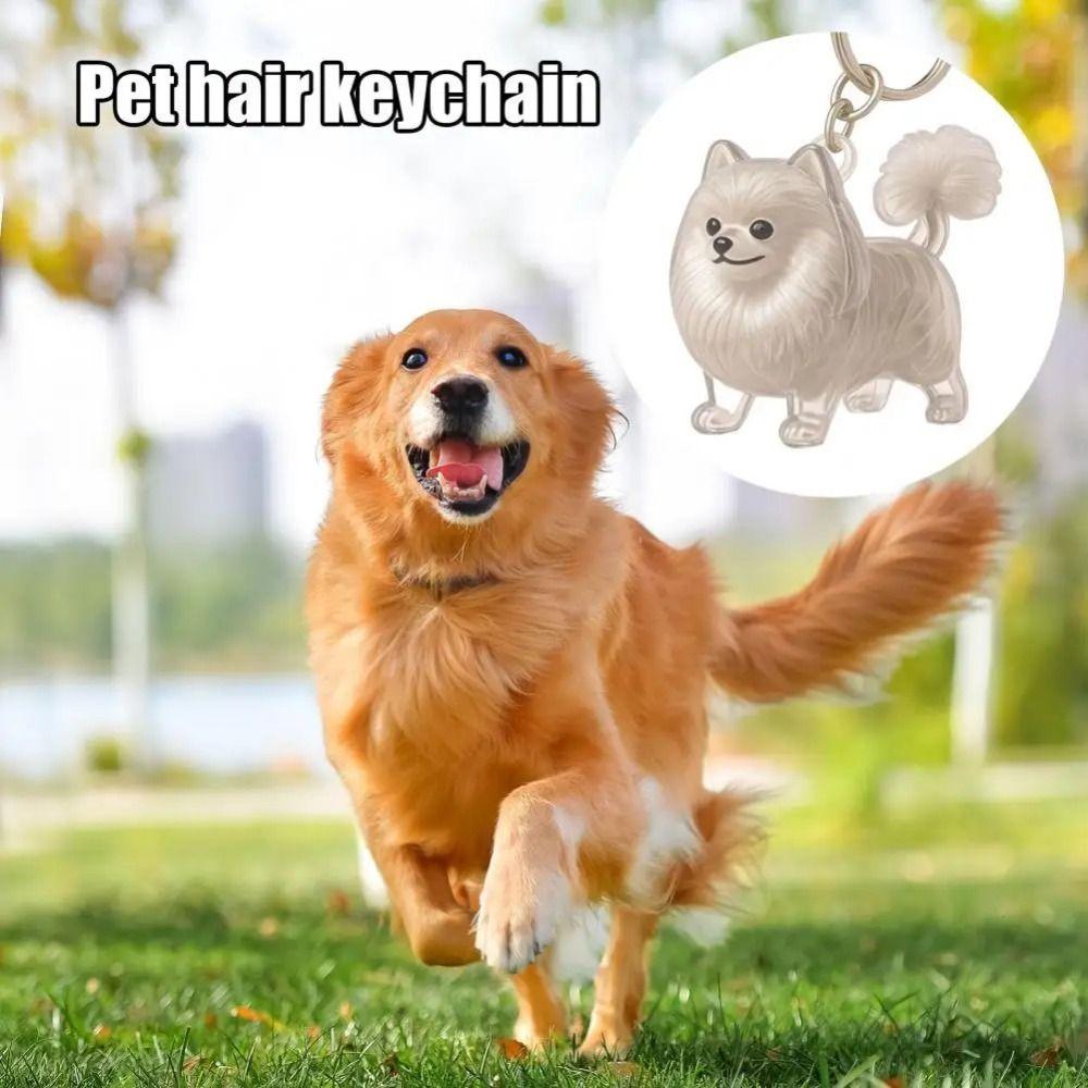Hair Grooming Pet Hair Keychain Dog Shape Puppy Pendants Cartoon Dog Hair Storage Box  Backpack