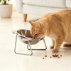 Stainless Steel Elevated Cat Feed Bowl Tilted Anti Vomiting Pet Feeding Dish with Metal Stand