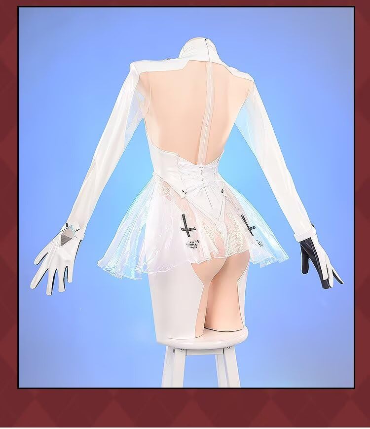 Pupubanbanya Lavender Cinderella Cosplay Costume, Christmas Halloween Costume, Transparent Combat Suit, Sizes S and M