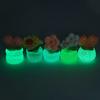 2Pcs Car Dashboard Decor Mini Resin Cute Sunflower and Tulip Miniature Flower Pot Figurines Tiny Flower Figures Car Interior Decorations