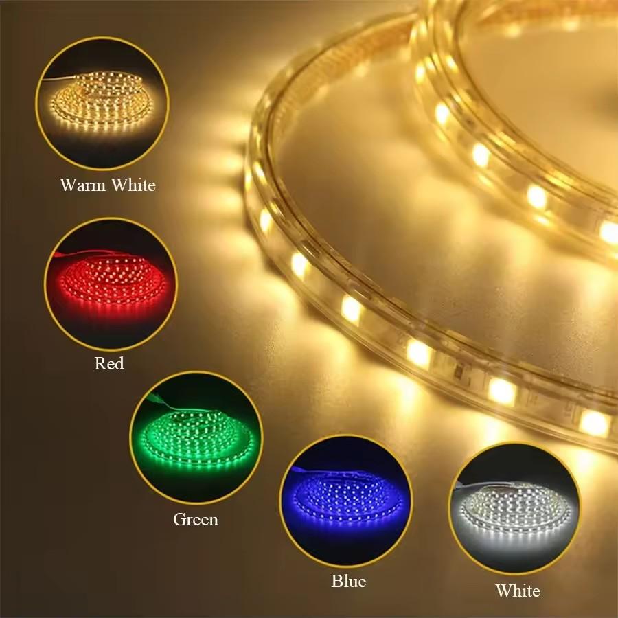 Ac 220V 5050 Led Strip Light Waterproof 60 Leds Flexible Tape Lamp With Eu Plug Lighting White 1M 2M 5M 10M 20M Outdoor Ribbon