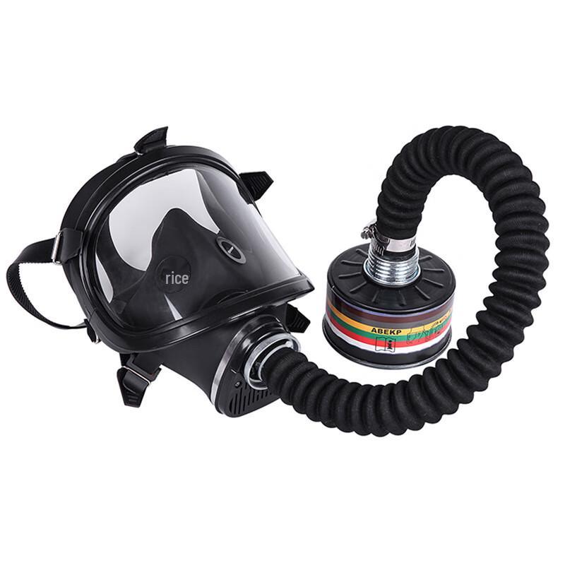Silicone Full Face Respirator Mask One Size