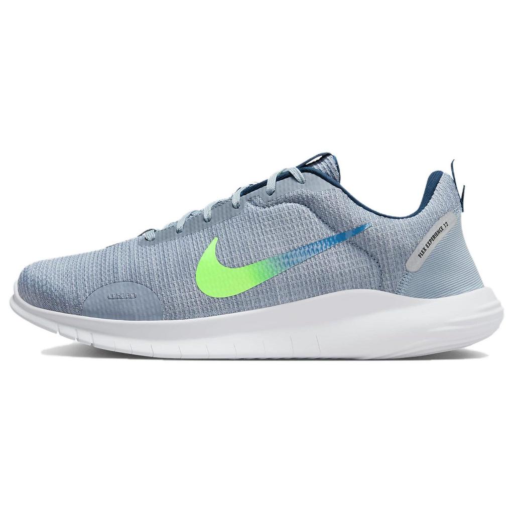 Nike Flex Experience Run 12 'Blu' DV0744-400