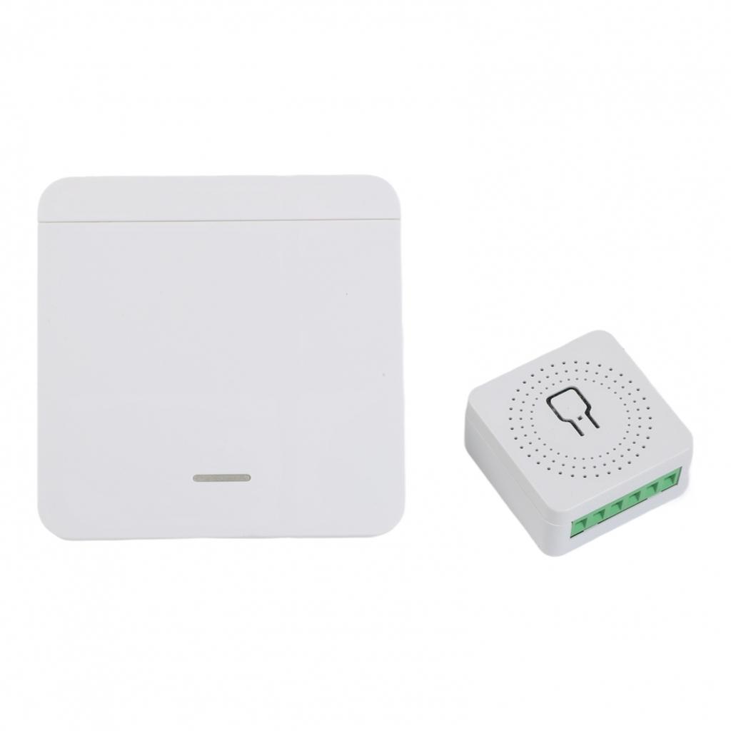 App Controlled Voice Control Switch Wireless Light Switch