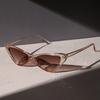 2023 New Cat Eye Small Frame Sunglasses Unisex UV Protection Fashion Trendy Vintage European American Style Outdoor Sun Glasses Shades
