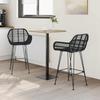 Bar Stool 2 Pcs 55 X 52 X 92 Cm Rattan and Iron