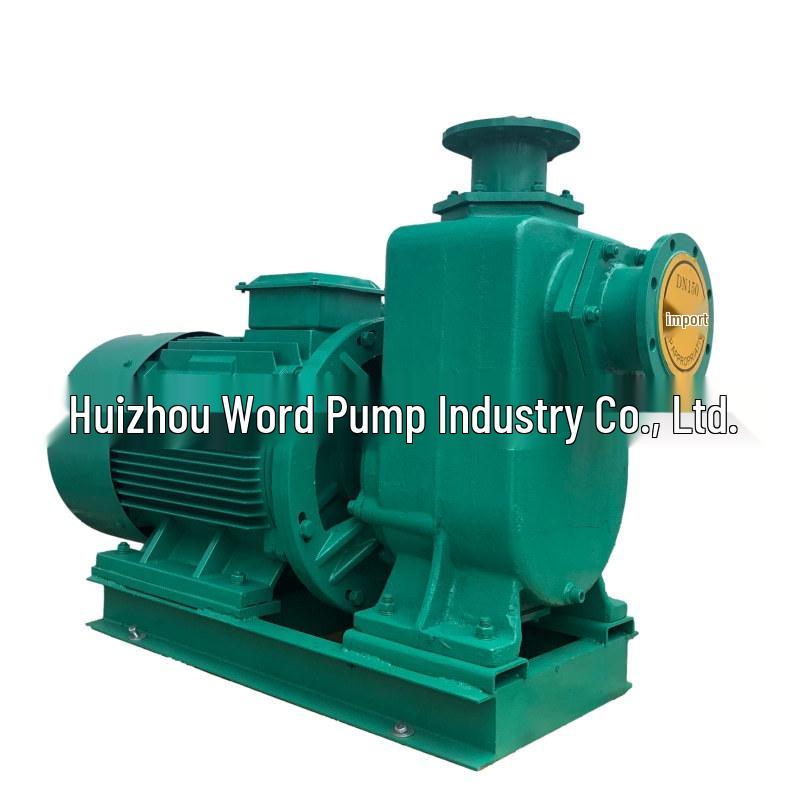 Huiwode 100ZW80-20-7.5/4 Horizontal Centrifugal Sewage Treatment Pump