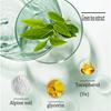 2 Pcs Green Tea Mask Stick for Face, Blackhead Remover with Green Tea Extract, Green Mask Stick for Face Moisturizing, Deep Pore Cleansing for All Ski