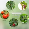 100pcs Climbing Plant Vertical Growth Support Clip Growing Assistance Holder For Tomato Plant And Vegetable Stems