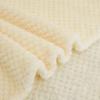 Soft Warm Flannel Blankets For Beds Solid Pink Blue Coral Fleece Mink Throw Sofa Cover Bedspread Fluffy Plaid Blankets