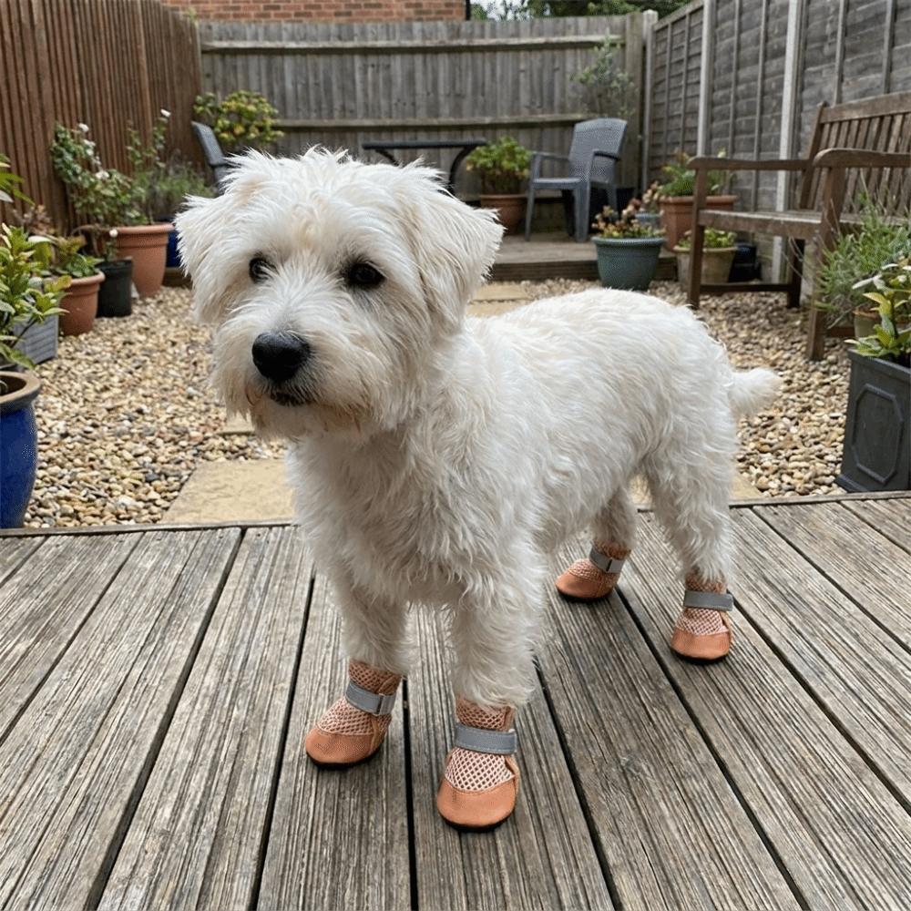 4PCS/SET Wear-Resistant Pet Mesh Shoes Non-Slip Pet Paw Protector Dog Boots Pet Footwear Walking