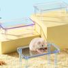 Hamster-Plattform, transparent, abnehmbar, dekorativ, Landschaftsgestaltung, durchsichtige Futternapf-Aufbewahrung, gratfreier Haustierständer, Spiel-Kletterspielzeug, Heimtierbedarf