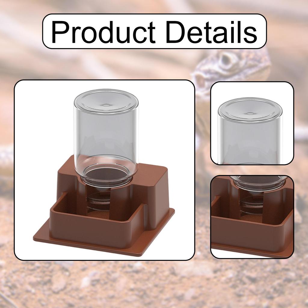 Automatic Reptile Water Dish Container Decorative Easy to Clean Creative Feeder Station Drinking Tool for Geckos Tortoise