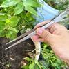 Stainless Steel Root Rake Loosen Soil Bonsai Tree Tweezers with Ergonomic Handle