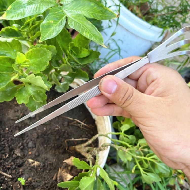 Stainless Steel Root Rake Loosen Soil Bonsai Tree Tweezers with Ergonomic Handle