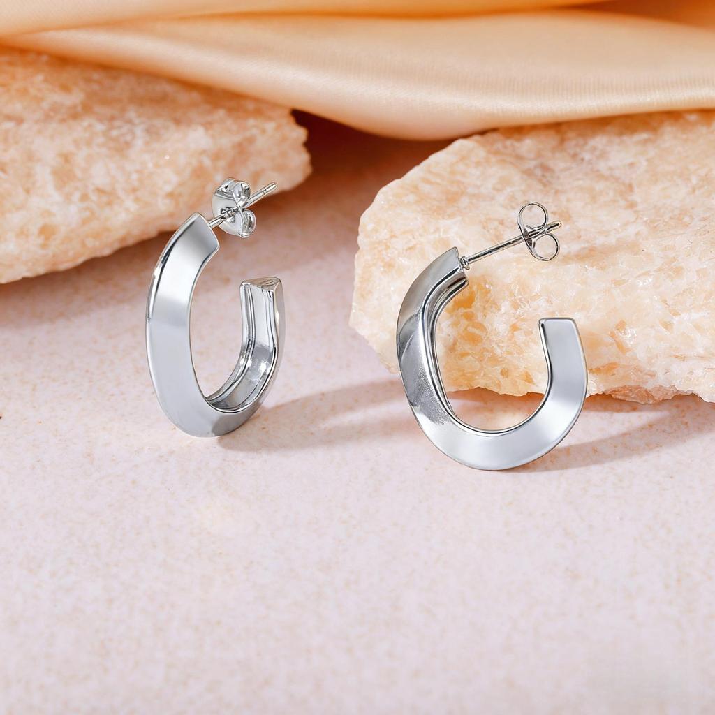 2025 Luxury Titanium Steel Earrings - No Fade, High-End Feel