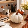 Halloween Pumpkin Plush Doll Cute Stuffed Animal for Kids Fall Home Decor