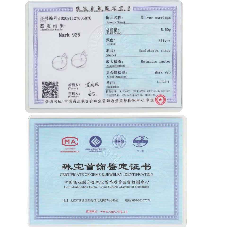 Umcho Ohrringe für Frauen Silber Creolen Embed CZ Kristall Hübsche Ohrring für Hochzeit Accessorie