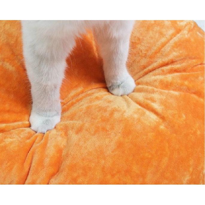 2026 Fall and Winter New Pet Cat Bed Halloween Pumpkin Bed Thickened Comfortable and Warm Sofa Dog Bed Pet Supplies