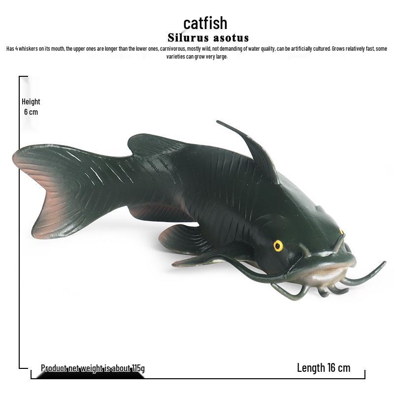 Children s Cognitive Catfish Model Toy - Whiskered Freshwater Fish Ornament
