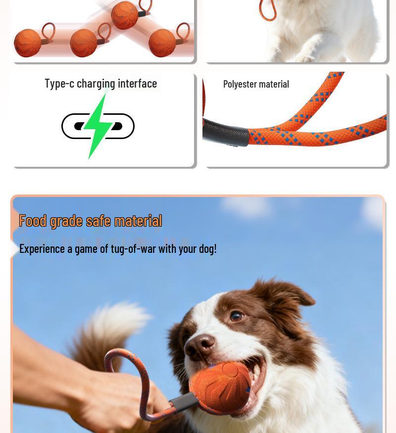 PetSmart Electric Dog Toy: Waterproof, Bite-Resistant E-TPU Bouncing Ball with Rope for Interactive Teething