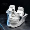 Video Game Controller Dock 3D Printed Skull Holder, Head Stand for Gaming Desktop Organizer Controller, Cool Display Room Decor, Gamer Gift