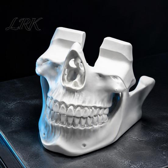 Video Game Controller Dock 3D Printed Skull Holder, Head Stand for Gaming Desktop Organizer Controller, Cool Display Room Decor, Gamer Gift