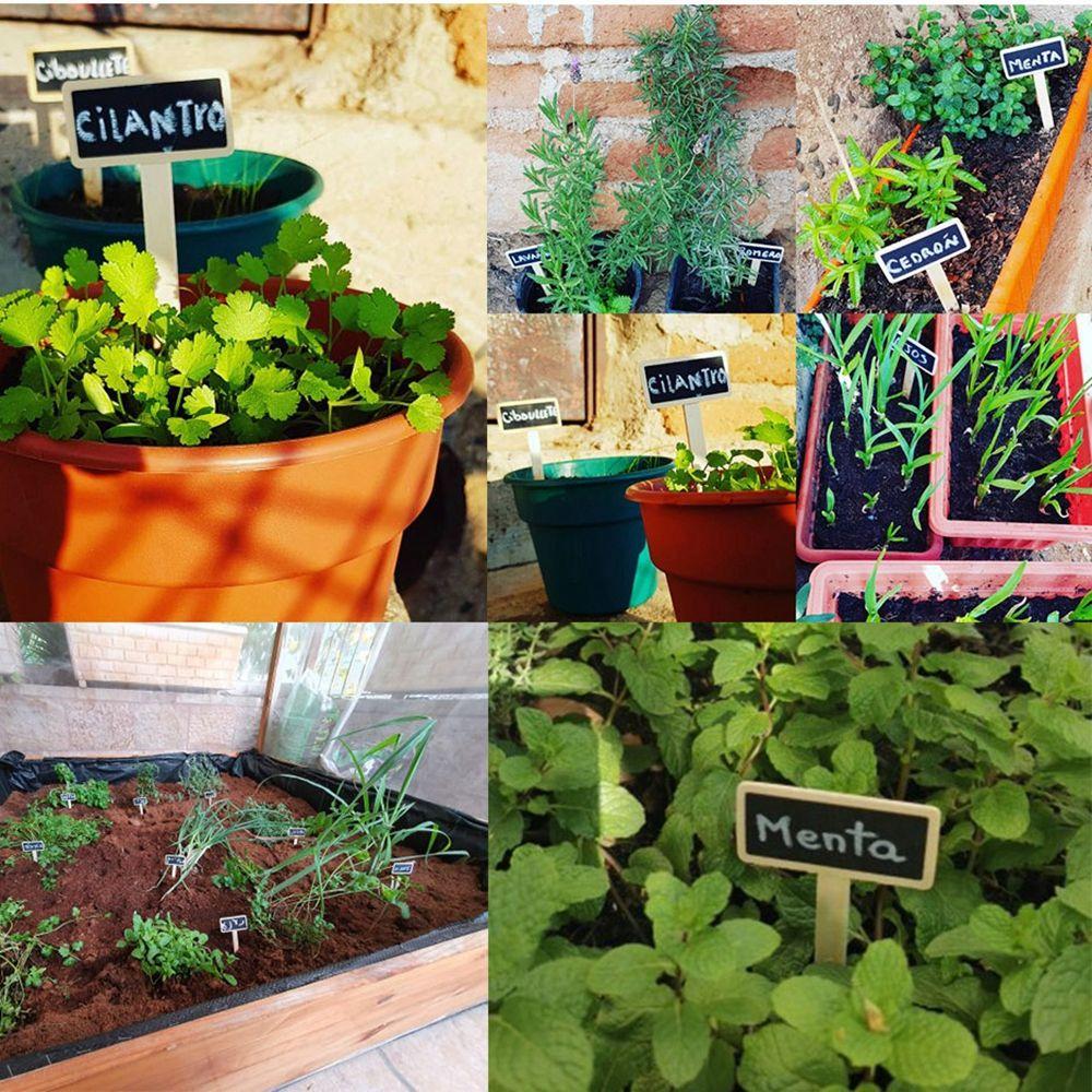 Tags Classification Writing Plate Plant  Markers Plants  Signs Garden Decoration Tools Plant Tags