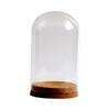 DIY Glass Dome Cloche Holder for Microlandscape and Home Display