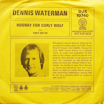 7inch Record DENNIS WATERMAN - Hooray For Curly Woolf DJS10740PROMO DJM Records 1977 UK Pop Used